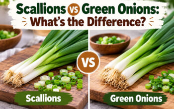 Scallions vs Green Onions